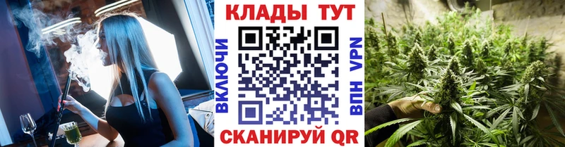 Купить наркотик Енисейск Конопля  Псилоцибиновые грибы  ссылка на мегу tor  APVP  Мефедрон 